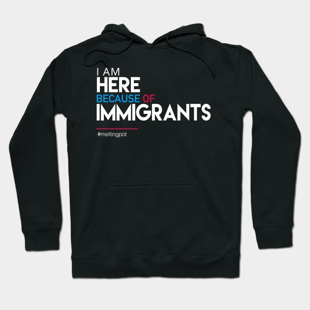 I'm Here Because of Immigrants Hoodie by Boots